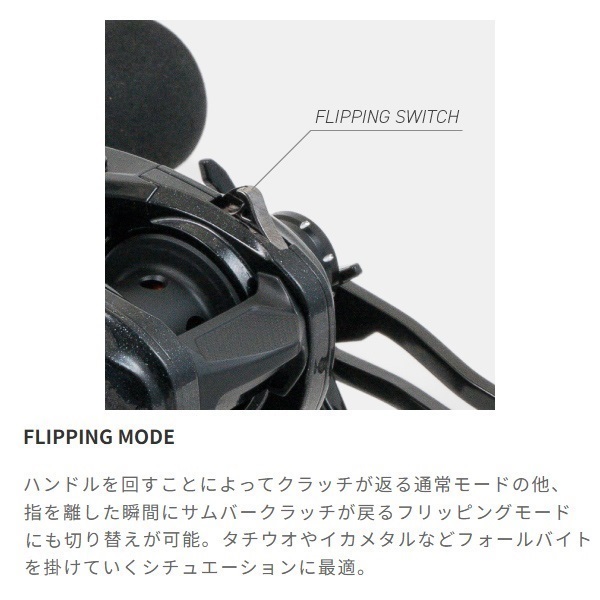 ヴィレイヤーDG